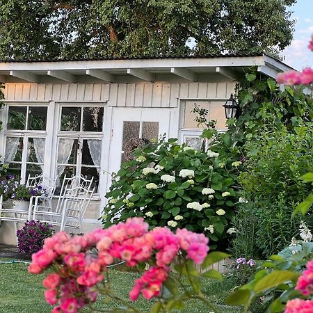 Cafe Canape, Wohlfuehlen Im Schoenen Hof Zwischen Ravensburg & Bodensee Dış mekan fotoğraf