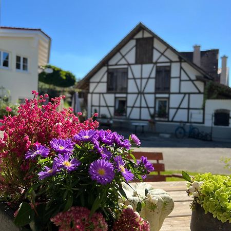 Cafe Canape, Wohlfuehlen Im Schoenen Hof Zwischen Ravensburg & Bodensee Dış mekan fotoğraf